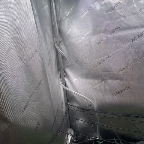 Dreamy growlog timeline photo
