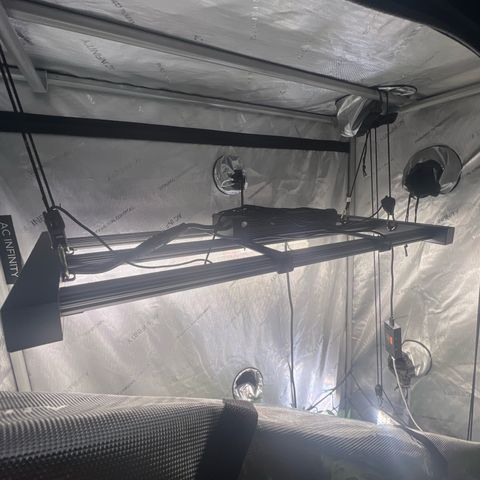 Dreamy growlog photo: Addition of supplemental side lighting of 100W