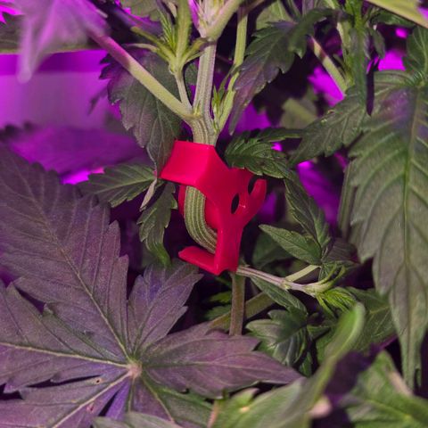Dörthe growlog timeline photo