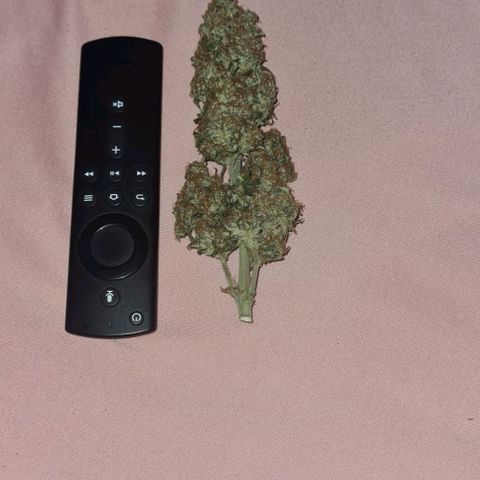 Dörthe growlog photo: Headbud