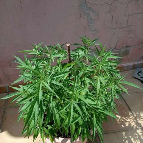 Respect growlog timeline photo