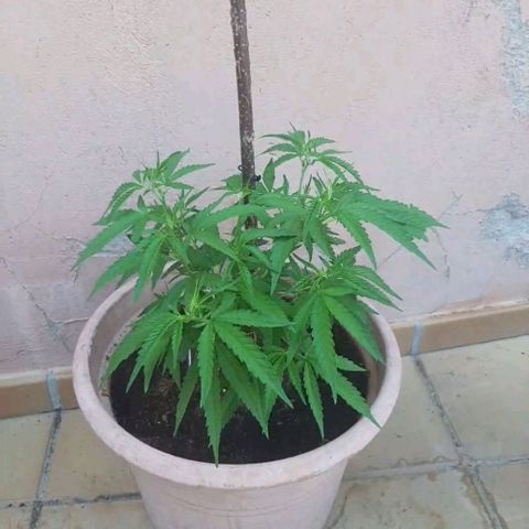 Respect growlog timeline photo
