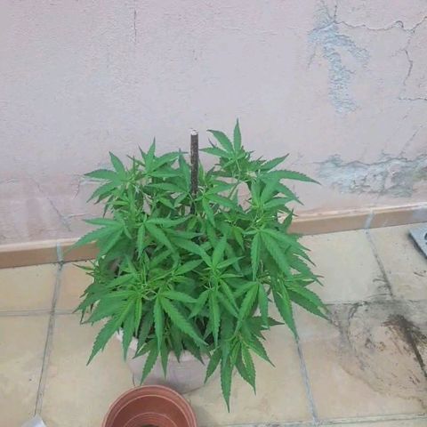 Respect growlog timeline photo