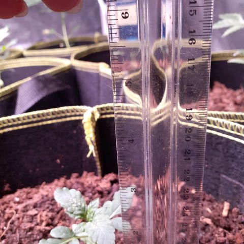Sku 6 growlog timeline photo