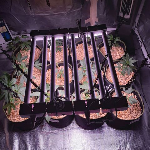 Sku 5 growlog timeline photo