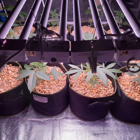 Sku 5 growlog timeline photo