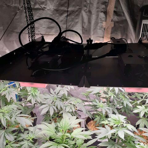 Sku 5 growlog timeline photo