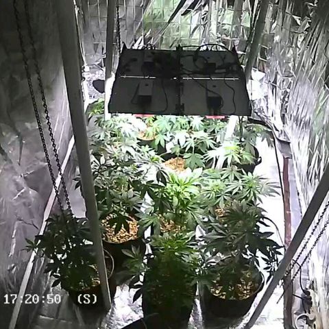 Sku 5 growlog timeline photo