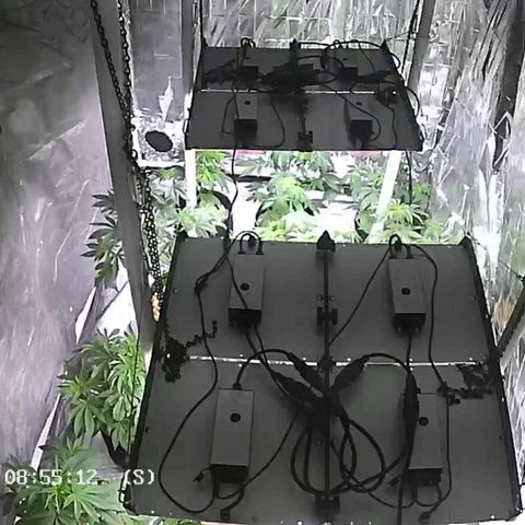 Sku 5 growlog timeline photo