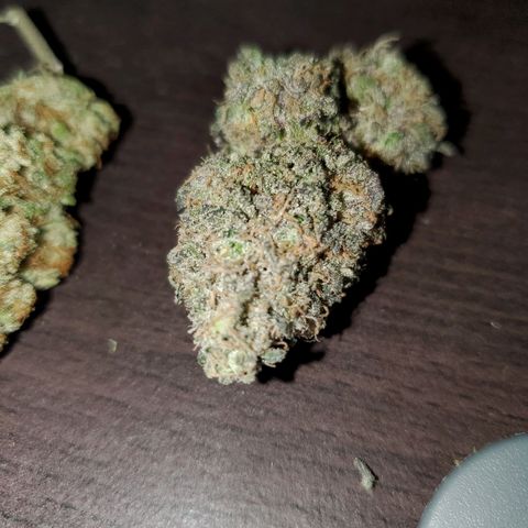 Wedding Cake #2 growlog photo: Finished bud from my 1st grow