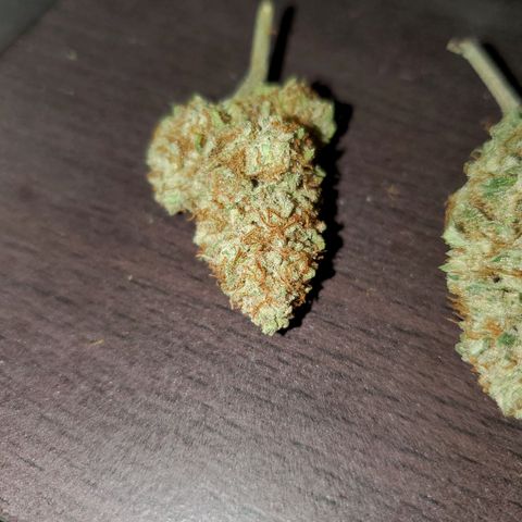 Wedding Cake #2 growlog photo: Finished bud from my 1st grow