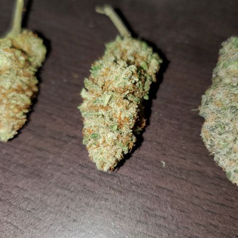 Wedding Cake #2 growlog photo: Finished bud from my 1st grow