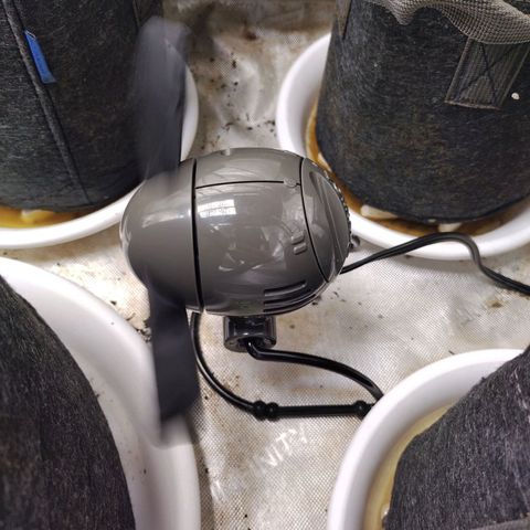 Mix Pack  #3 growlog photo: Installed mini floor fan 