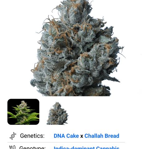 Challah Cake growlog timeline photo