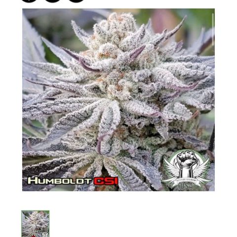 Humboldt Uppercut growlog timeline photo