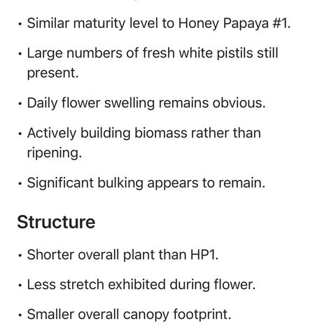 Honey Papaya #2 growlog timeline photo