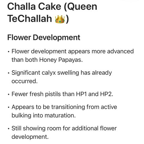 Challah Cake growlog timeline photo