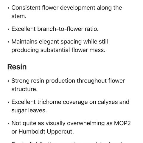 Challah Cake growlog timeline photo