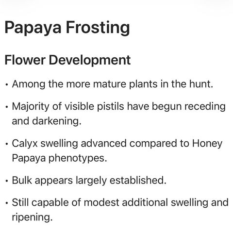 Papaya Frosting #2 growlog timeline photo