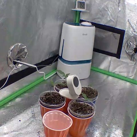 Bruce Banner Auto growlog photo: On vacation pic