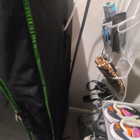 Bruce Banner Auto growlog photo: Testing blumat auto watering system and humidifier refill.