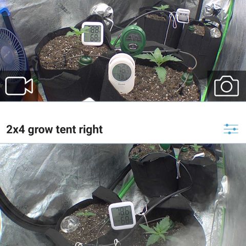 Bruce Banner Auto growlog photo: Day 9 ANBB
DAY 7 BB