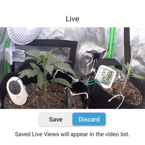 Bruce Banner Auto growlog photo: Day 14 day 9