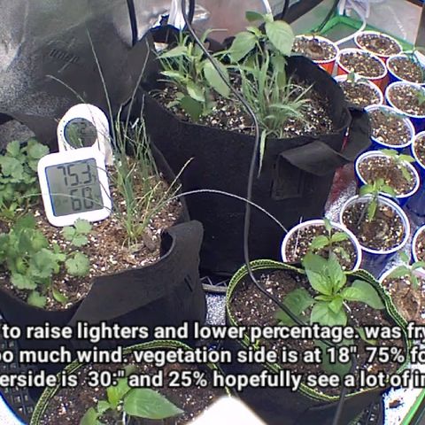 Bruce Banner Auto growlog photo: Look at notes shit was all fucked up and behind now but they're photo so should be fine