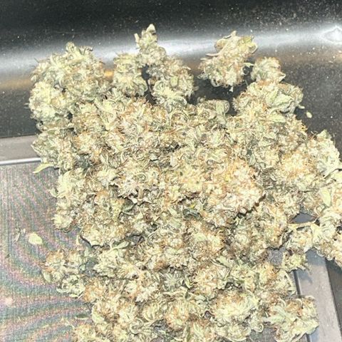 Green Crack growlog photo: finished!  taste good for taste test after drying but curing should go smooth for taste and more smell