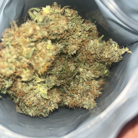 NL growlog timeline photo