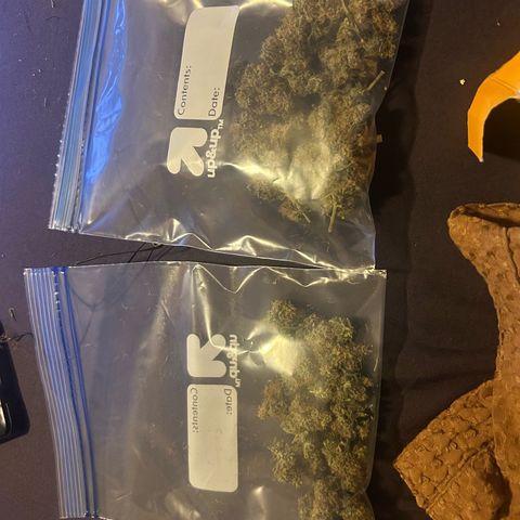 NL growlog timeline photo