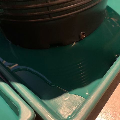 Retoños Gorilla  growlog timeline photo