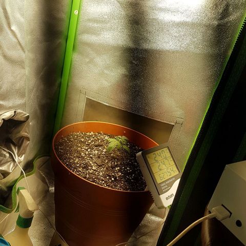 BANNER  growlog timeline photo