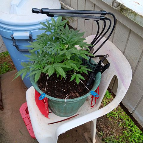 HeadCrusher growlog timeline photo