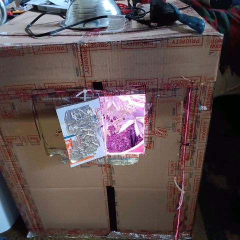 HeadCrusher growlog photo: Gotta love the homemade grow/light box💡👀🌱🦨🍒⛽🚀🗿🧰🛠️📐🚫🚭▫️🏴‍☠️🎌