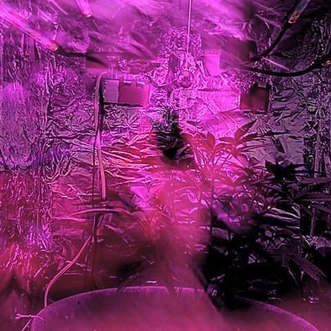 HeadCrusher growlog photo: Disco Ballin... Can ya spot it. Ha