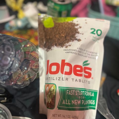 Great Ape growlog timeline photo