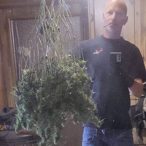 Fem Garlicane x male Jack the Ripper f2 #4 #2 growlog timeline photo