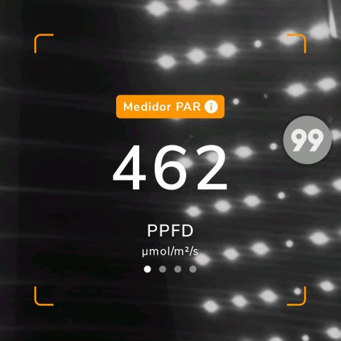 Green Crack CBD growlog photo: Poda e aumento de ppfd pra 450 - 30 a 35 dli