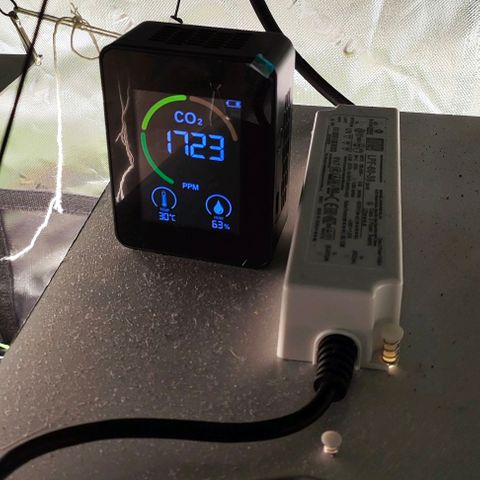Green Crack CBD growlog timeline photo