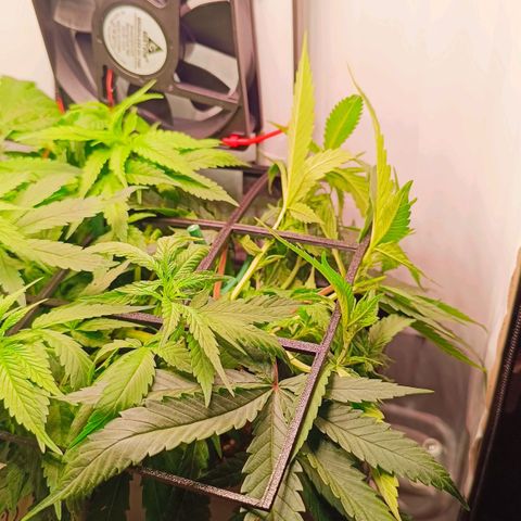 Luna und Doriane "Max Powers"  growlog timeline photo