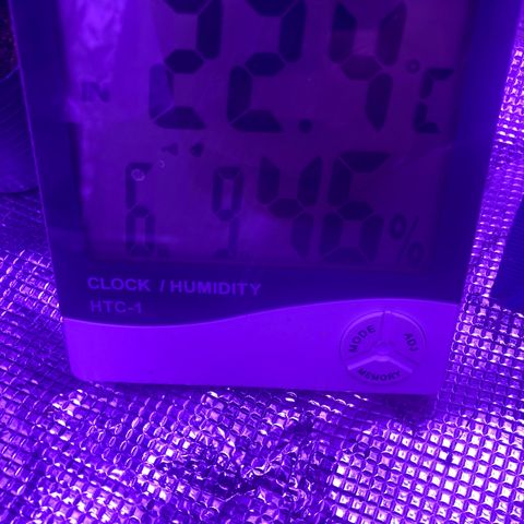 Tortoni growlog photo: Preparing testing this tent with those for a week for them as they are ment to be outstanding it’s 4 whites 4 pienk blues T5 80 and 54 watt With a good hum and temp and clock min and max checker thank you 420 dips for it works like bom and 