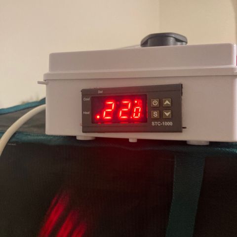 Tortoni growlog photo: Test runs for two weeks now when the when I come back everything original 3 female seeds go in the original fans clip on  and extractor will go in aswell as soon as the smell start as this was a trail run  for fresh air i the hole room closed 24/7 and with an aircone on 