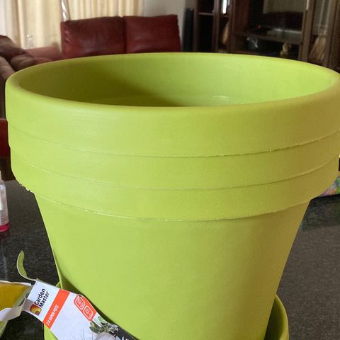 Tortoni growlog photo: Time for the final change of pots and cage a little bit there grow and for the pots I have potting soil I bought also from builders garden section all together R600 everything at the end will be calculated 