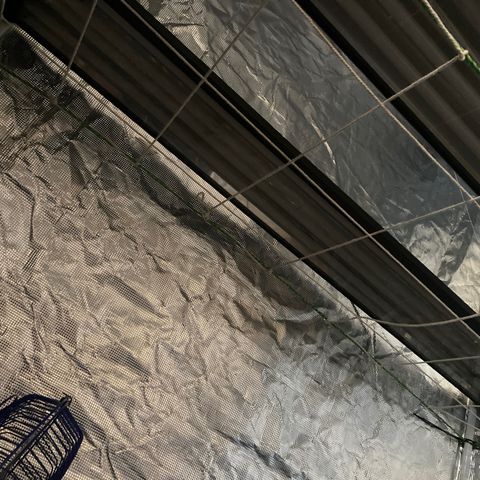 Tortoni growlog photo: Preparing the net for the future 