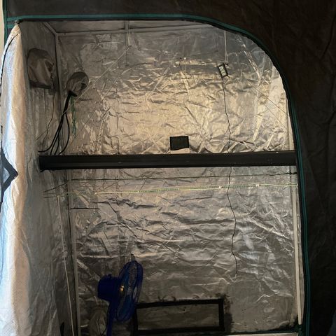 Tortoni growlog photo: Got more equipment but not needed at the moment next week I’ll be updating my fans and my extraction fan as the smell will start in about 1 month 