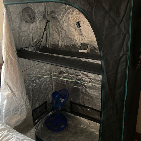 Tortoni growlog photo: Baby’s going inside now 