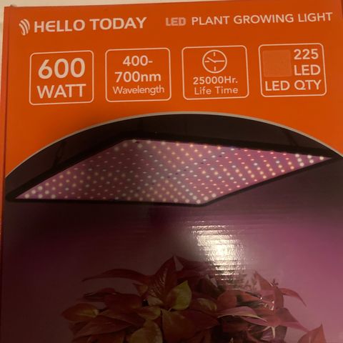 Tortoni growlog photo: Bought this today will be upgrading and adding it tomorrow will show you the end results