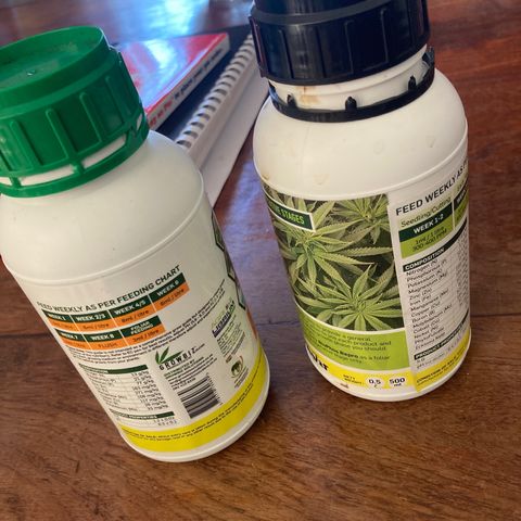 Critical feminised  growlog photo: I’ll be using biophos veg stage and a flower stage to make them also healthy heavy ect 