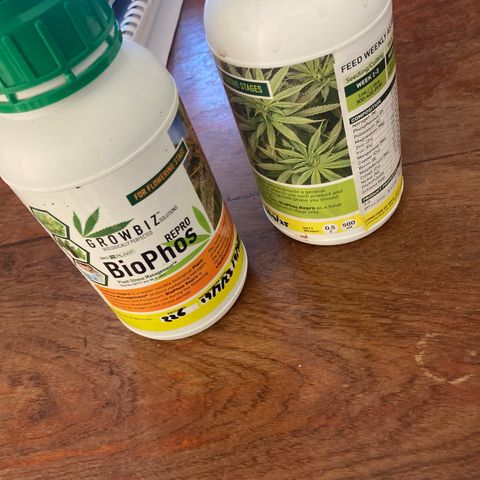 Critical feminised  growlog photo: I’ll be using biophos veg stage and a flower stage to make them also healthy heavy ect 